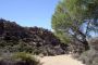 13JoshuaTree - 19